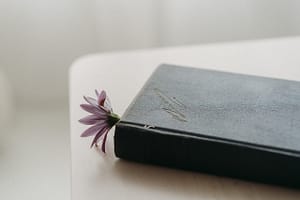 Imagem de livro antigo de capa dura com uma flor roxa dentro.